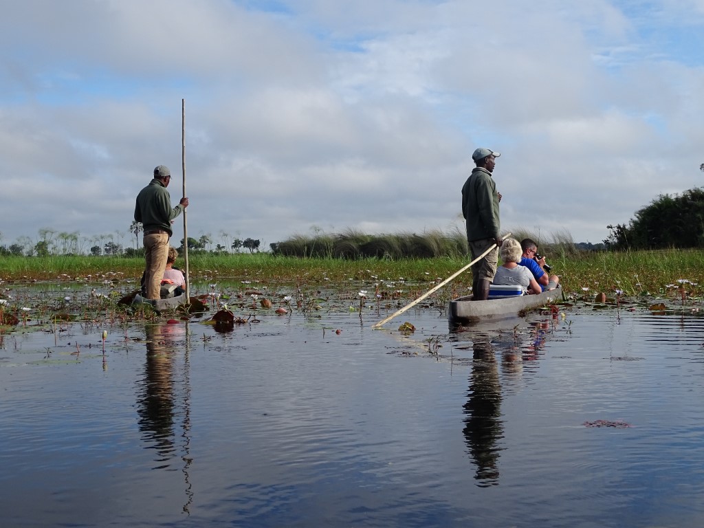Rondreis Best of Botswana, combi met Vic Falls - AmbianceTravel