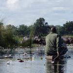 Rondreis Best of Botswana, combi met Vic Falls - AmbianceTravel