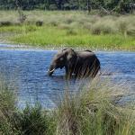 Rondreis Best of Botswana, combi met Vic Falls - AmbianceTravel