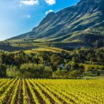 Zuid-Afrika voor wijnliefhebbers, luxe rondreis- AmbianceTravel