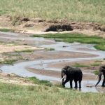 Rondreis Tanzania Tarangire