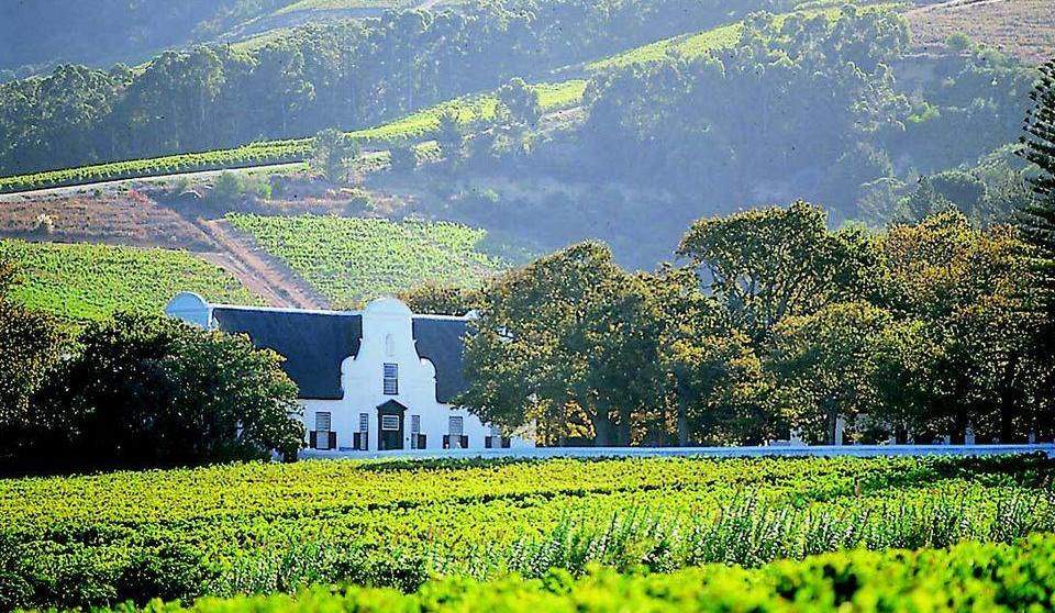 Constatia het oudste wijngebied van Zuid-Afrika - AmbianceTravel
