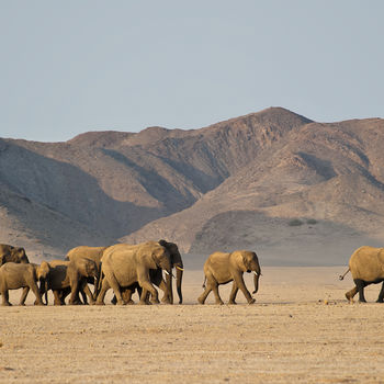 Rondreis Namibië: Damaraland