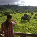 Romndreis Tanzania Rhino Lodge Ngorongoro Crater