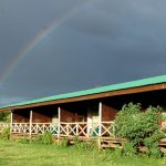 Rondreis wildparken van Tanzania- AmbianceTravel