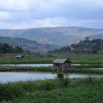Rwanda, land van de duizend heuvels